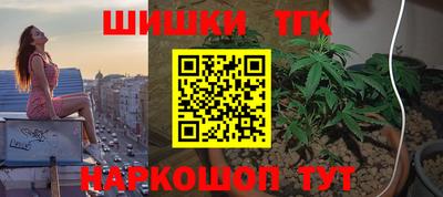 шишки Аргун