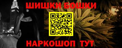 шишки Аргун