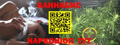 шишки Аргун