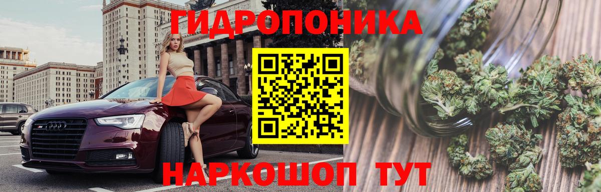Каннабис VHQ  МАРИХУАНА SATIVA & INDICA  Вход с VPN  Аша  Каннабис планчик 